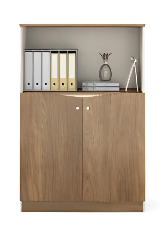 [LONGQI-PT-545] Armoire de rangement PT-545 – 800 mm